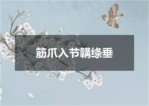 筋爪入节韝绦垂