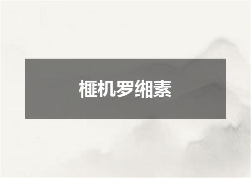 榧机罗缃素