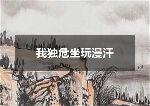 我独危坐玩漫汗