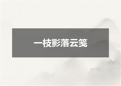 一枝影落云笺