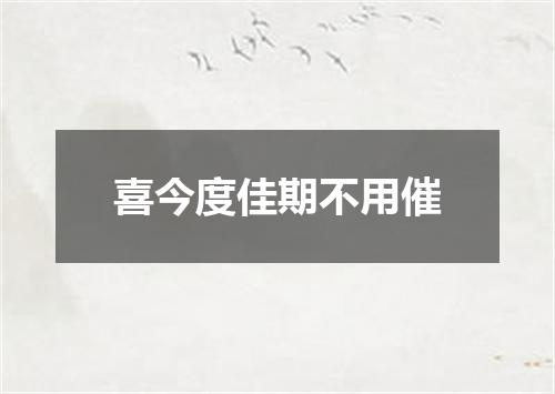 喜今度佳期不用催