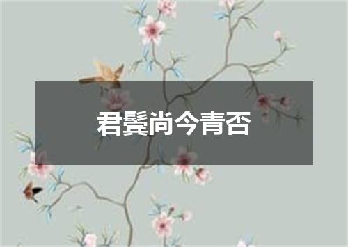 君鬓尚今青否