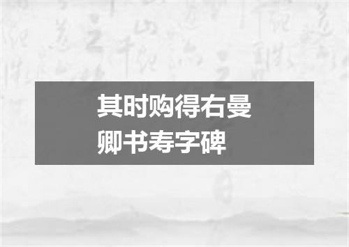 其时购得右曼卿书寿字碑