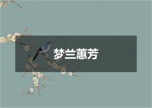 梦兰蕙芳