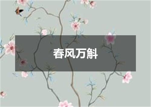 春风万斛