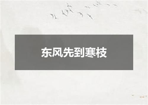 东风先到寒枝