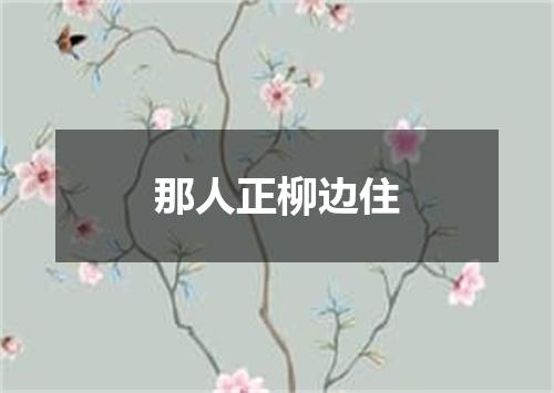 那人正柳边住