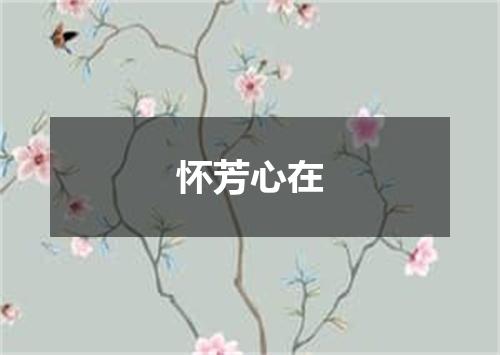 怀芳心在