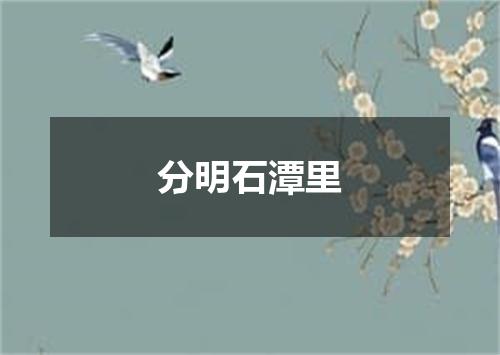 分明石潭里