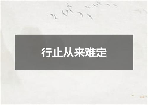 行止从来难定