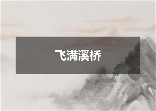 飞满溪桥