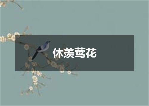 休羡莺花