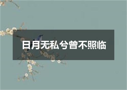 日月无私兮曾不照临