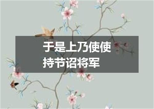 于是上乃使使持节诏将军