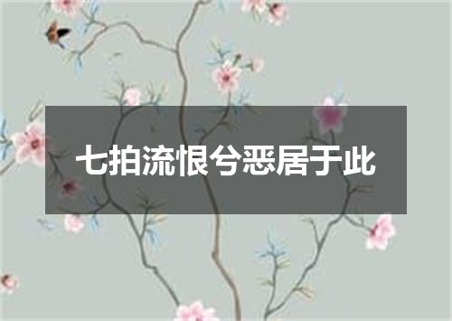 七拍流恨兮恶居于此