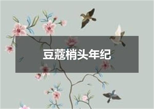 豆蔻梢头年纪