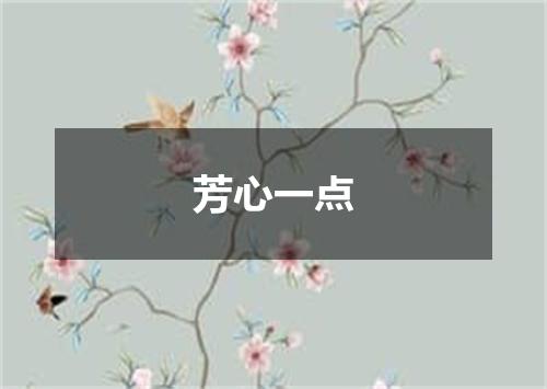 芳心一点