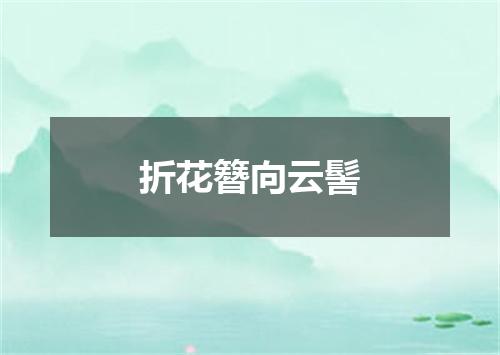 折花簪向云髻