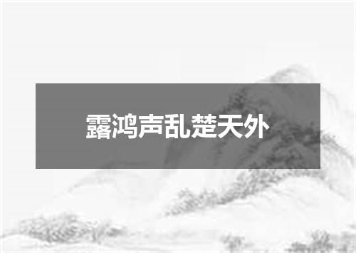 露鸿声乱楚天外