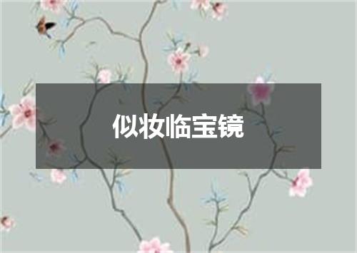 似妆临宝镜