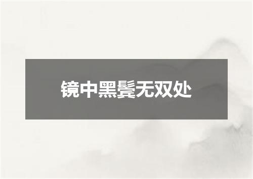 镜中黑鬓无双处