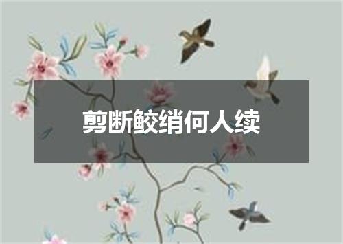 剪断鲛绡何人续