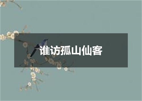 谁访孤山仙客