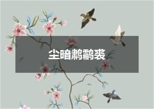 尘暗鹔鹴裘