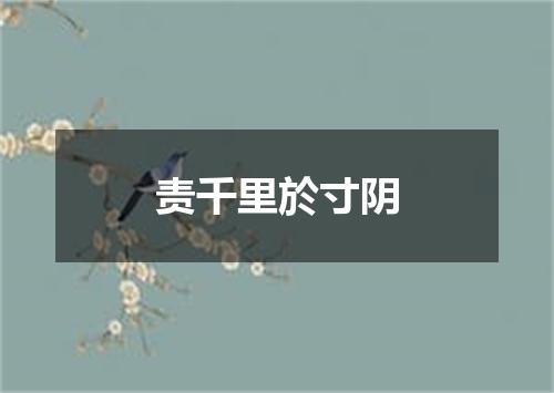 责千里於寸阴