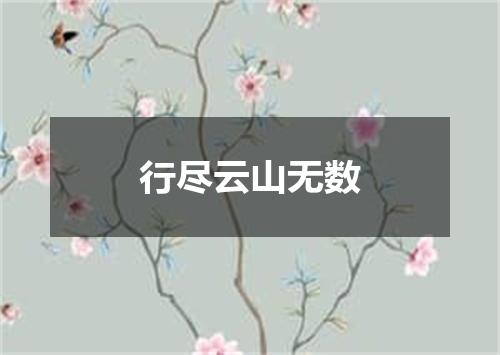 行尽云山无数