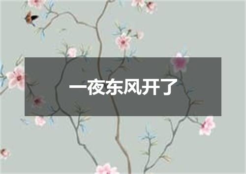 一夜东风开了