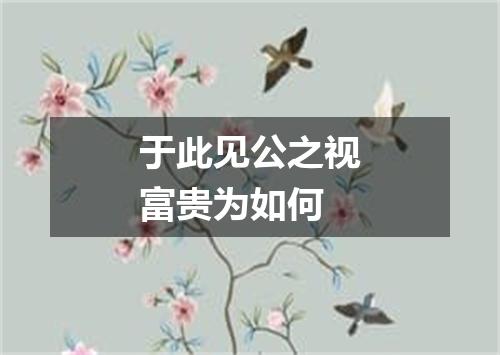 于此见公之视富贵为如何