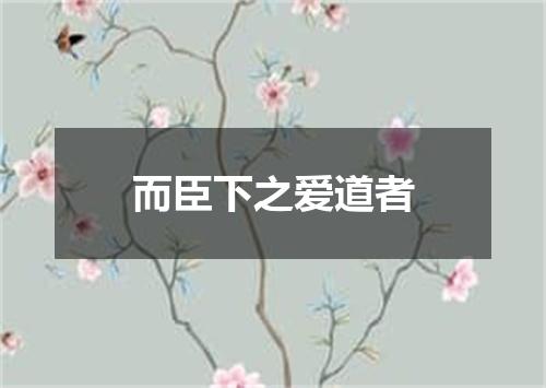 而臣下之爱道者