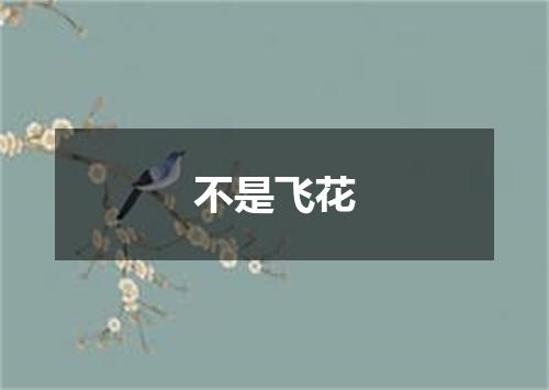 不是飞花