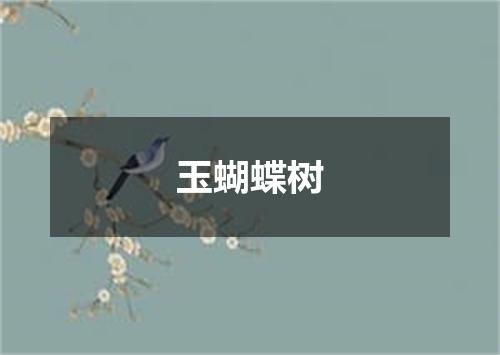 玉蝴蝶树