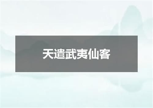 天遣武夷仙客