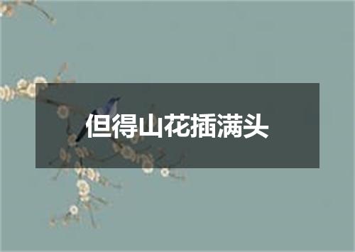 但得山花插满头