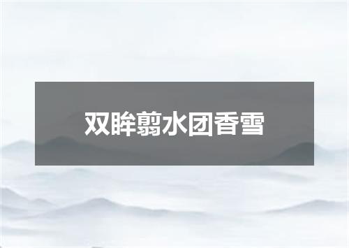 双眸翦水团香雪