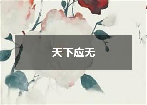 天下应无