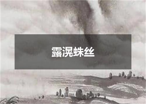 露滉蛛丝