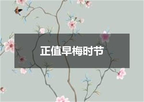 正值早梅时节