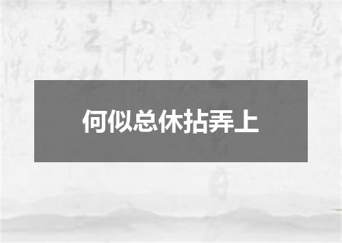 何似总休拈弄上