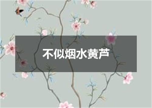 不似烟水黄芦