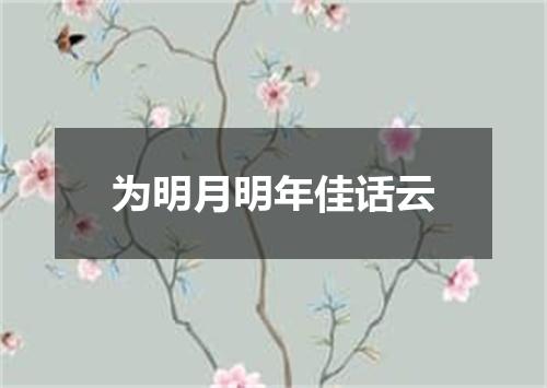 为明月明年佳话云