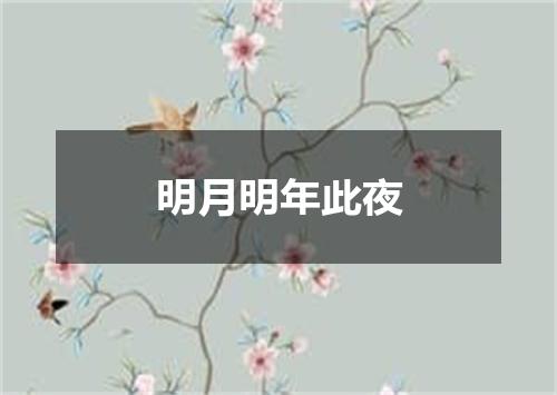 明月明年此夜