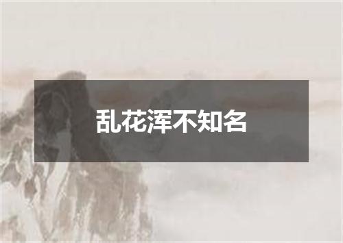 乱花浑不知名