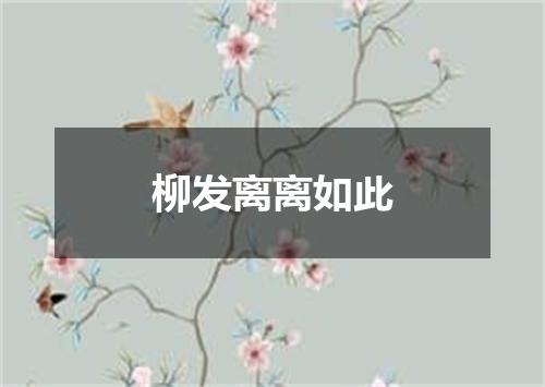 柳发离离如此