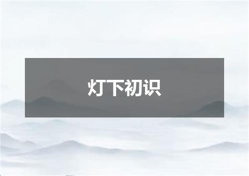 灯下初识