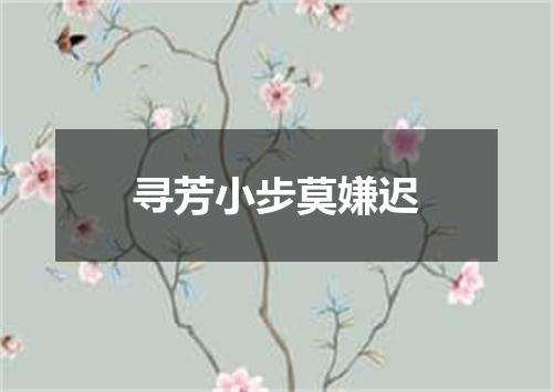 寻芳小步莫嫌迟