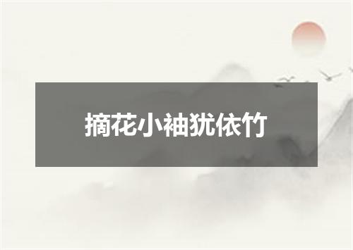 摘花小袖犹依竹